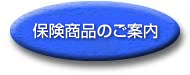 �ی����i�̂��ē�